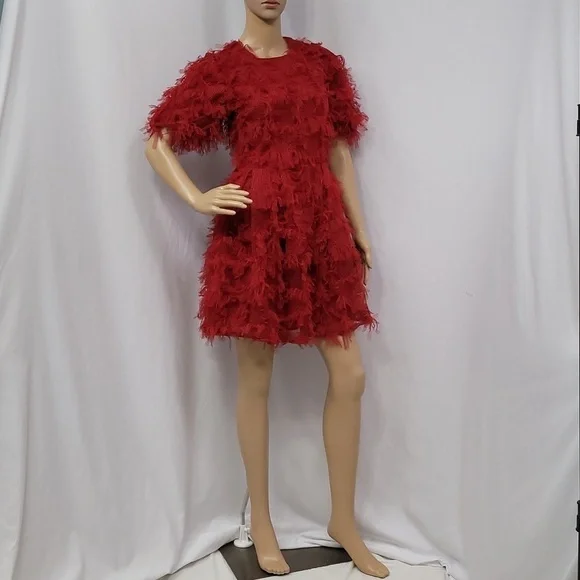 Endless Rose Texture Mesh  Overlay Mini Dress - Picture 9 of 17